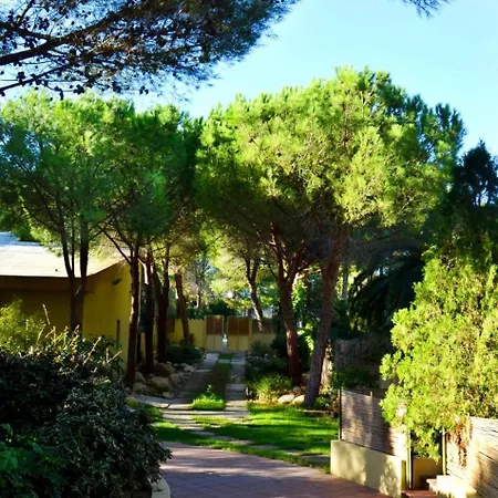 Peaceful Abbaechelu B4 1 Bedroom Sleeps 4 Unit 2 Lejlighed *